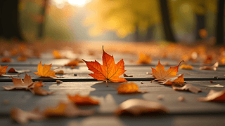ľϵ~zӰDƬ