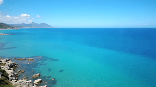 {(ln)ɫ峺Ҋ׺L(fng)zӰDƬ