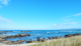 {(ln)ɫպL(fng)zӰDƬ