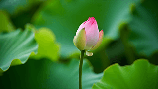 еĺ~ͺɻ،zӰDƬ