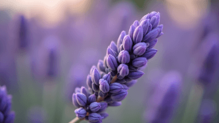 ŵ϶،(xi)zӰDƬ