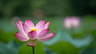 _(ki)ŵĺɻ،(xi)zӰDƬ