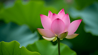 G~_(ki)ŵĺɻ،(xi)zӰDƬ