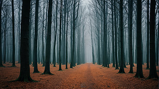 ɭĘľgһlС·L(fng)DƬ