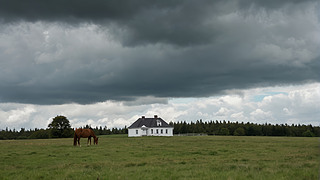 һƥRվҰ﷿L(fng)DƬ