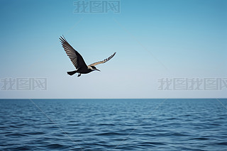 һֻBչwںϿոDƬ