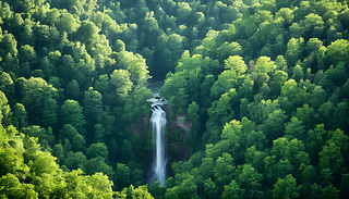 гD͔(sh)Ԫصδ{ɫƼ