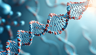 \{(ln)ɫDNA
