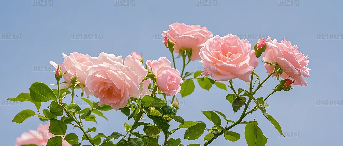 ̘IzӰ
