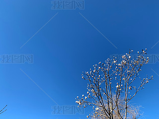 {ɫ՘ɔzӰD
