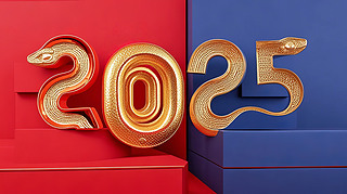 2025ꄓ(chung)┵(sh)ˇg(sh)O(sh)Ӌ(j)D