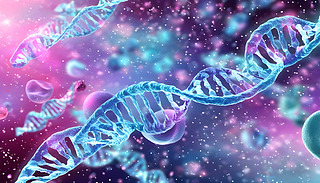 @@{ɫDNA机ͼδ픵(sh)ֱʾ3