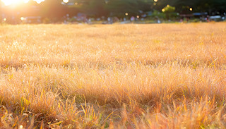 ɫ(yng)Ϻβݭh(hun)ݵ1