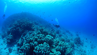 ˵ˮ(chng)ˮT̽MĺĪ(d)1