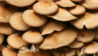 Ұţξڌ?k)oɭ֭h(hun)ѳL(zhng)2