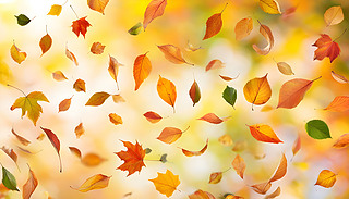 ɫʰߔ̵ĹVʺyгM~չʾ3