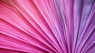 Ųʷ䱳