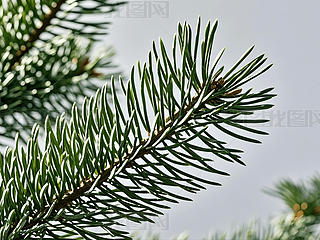 ʥQ(ji)tԪض໨h(hun)μO(sh)Ӌ(j)ز