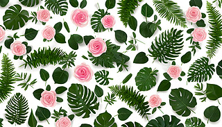 ۼtɫͰɫõľc[[ާ~1