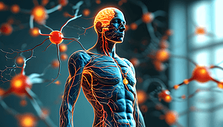 wȫ(jng)W(wng)j(lu)t(y)D