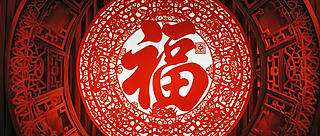 2025괺ϲcD