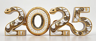 2025ɫ(sh)ք(chung)O(sh)Ӌ(j)D