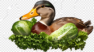 ͨDƬ