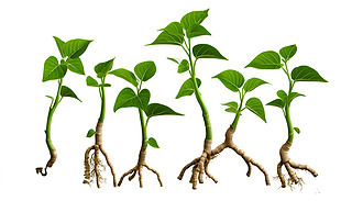 rGľGɫֲѿڸɃİɫչF(xin)e1