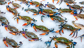 ڷæЈh(hun)б{зչʾ1