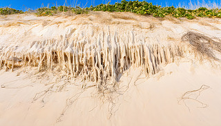 עĿɳĮ^ɳϸĸĻě֮2