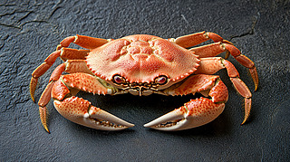 wз