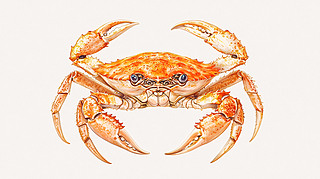 Lз