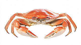 LзDƬ