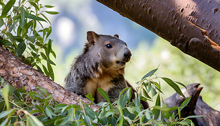 ݵ،չʾɽҰ(dng)ɽؾ^1