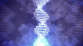 t(y)W(xu)DNAY(ji)(gu)ƌW(xu)3D
