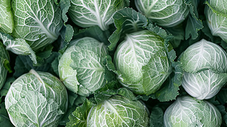 ĲˈDһNҊڼƷմbOӋ