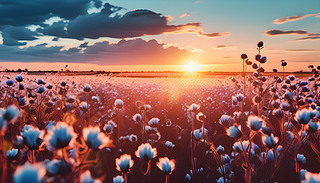 ɫԡϦꖵиol(xing)3