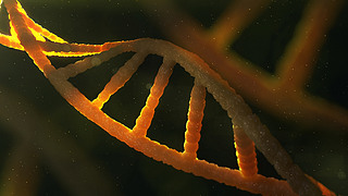 ɫDNAַM3DȾ