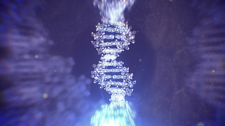 @΢R³DNAY(ji)(gu)3DȾ