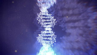 ժҪ@΢RDNAY(ji)(gu)3DȾ