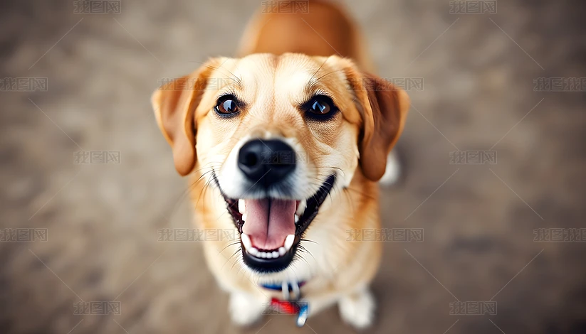 Ȯ