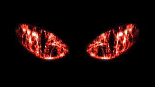 ɫһ˿֑3DЌɼtɫ؈۾