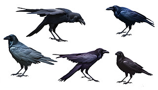 ʸDаɫϹĬF(xin)(sh)xڞf͞f1