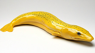 ģ