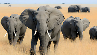 ۂĴڏV韵I(lng)pͬ鴩^1