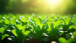 ꖹĵЙC(j)˷Nֲ@չF(xin)MľGɫ2