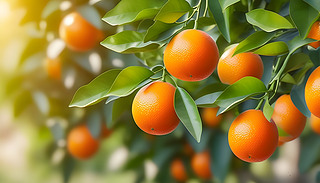 ꖹĵĹ@БҒrӵ(dng)،չʾ2