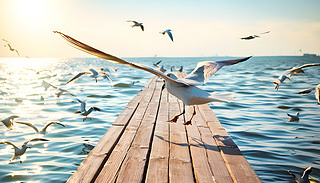 һֻ(yu)ŵĺtϢһ|ľa^L߅1