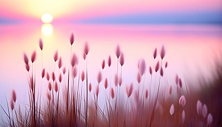 ?k)oĽɫճӳڱ¶ˮHǵĲݵحh(hun)@ƽ3