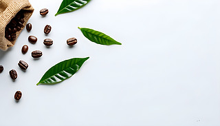 rի@ĿȶﱳǸɃİɫ1